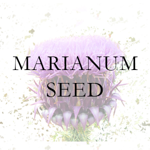 Εικόνα MARIANUM SEED λογότυπο